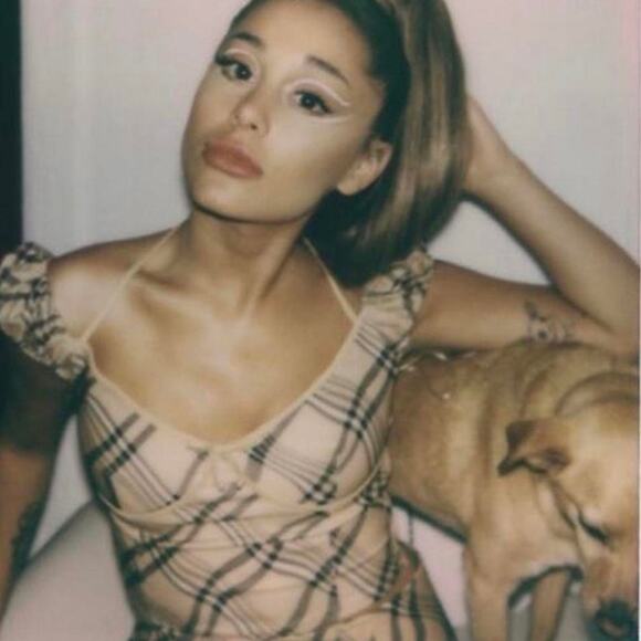 I.AM.GIA Carmel Top - Tan Check - XL - Picture 6 of 14